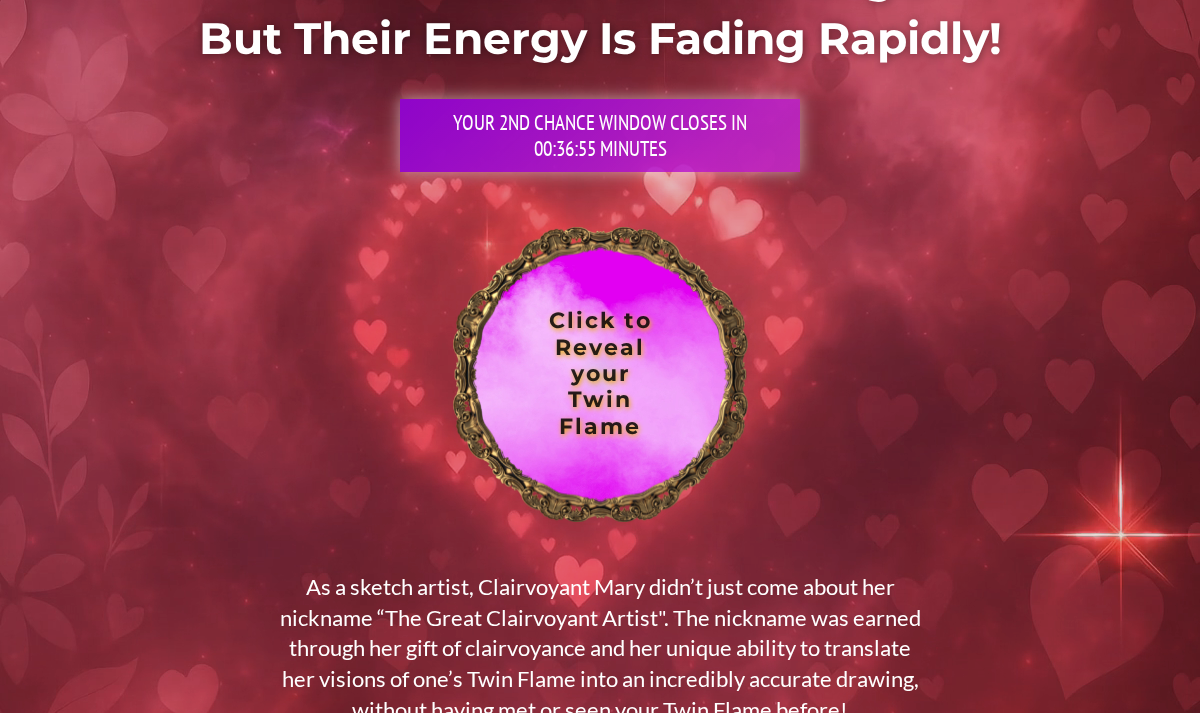 DrawMyTwinFlame public offer page details